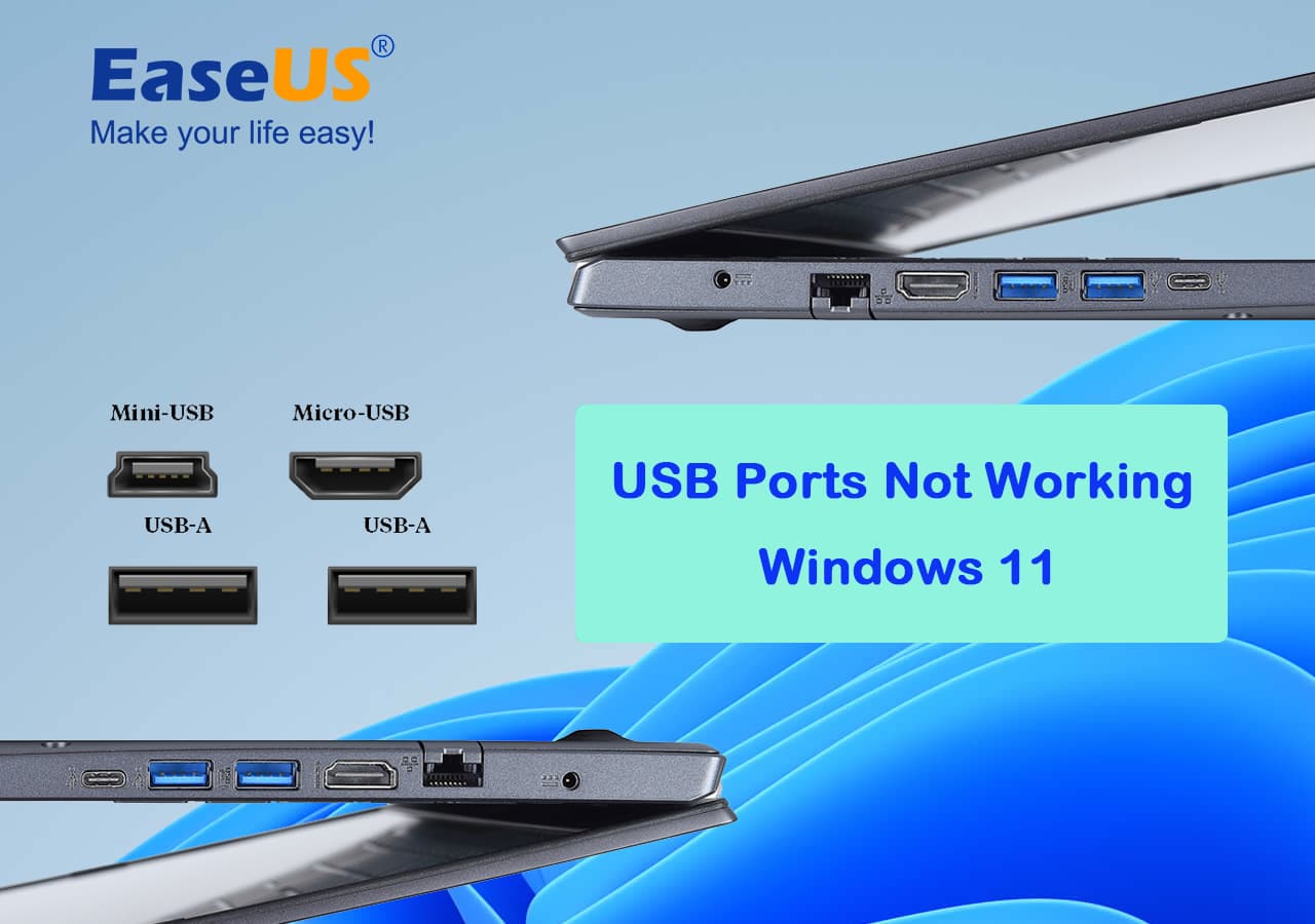 USB Ports Not Working in Windows 11? Causes and Fixes Unveiled in 2024