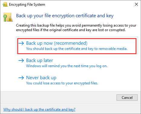 upgrade to windows 10 pro system key file encryption