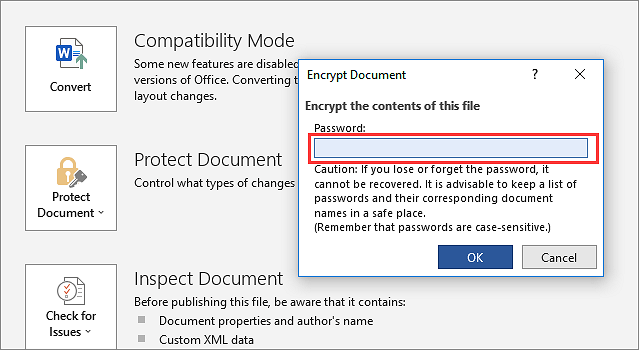 password protect USB word