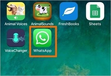 How to Share Your Location via WhatsApp: iPhone & Android