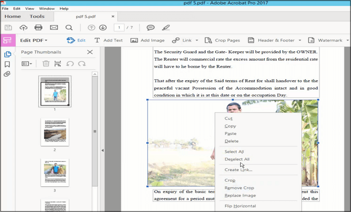 Eliminar imagen de PDF