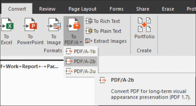 convert pdf to word nitro software