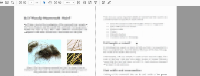 ver páginas PDF una al lado de la otra