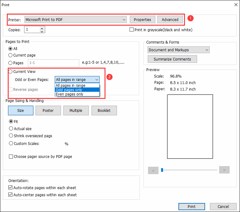 Set Print options