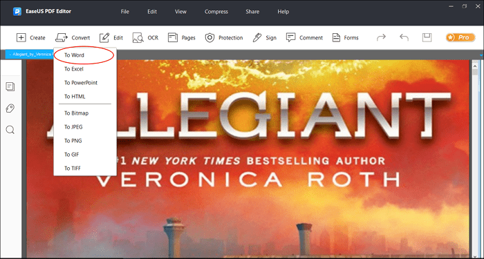 Convert scanned PDF to Word